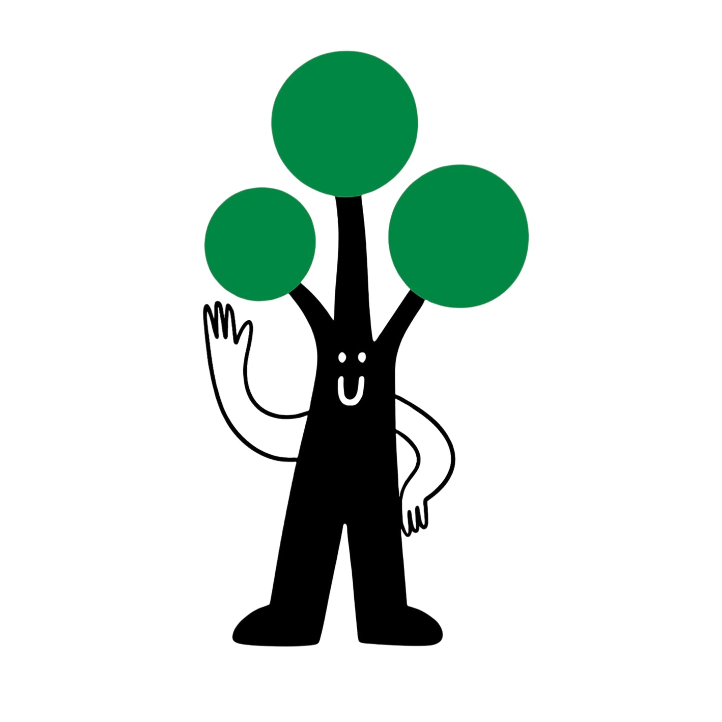 Ficus elastica - Tineke