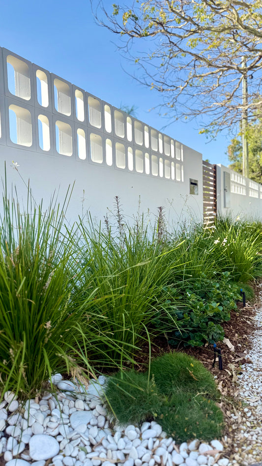 Zoysia ‘No Mow’ grass – three pots forming a lush green landscape, available in Brisbane from The Botanical Society